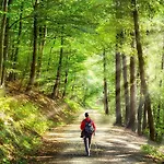 Landgasthof Zum Kirchenwirt 3*